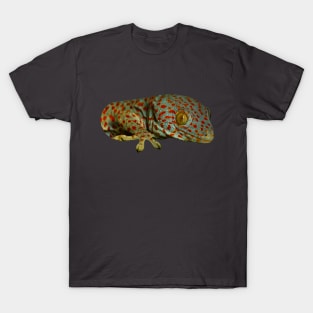 Tokay Gecko T-Shirt